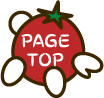 Page Top