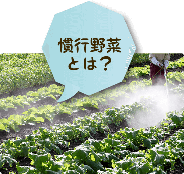 慣行野菜とは？